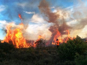 IMG-20170828-WA0023
